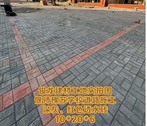 偃師豫蘇學(xué)校道路施工（深灰、紅色透水磚 10*20*6）